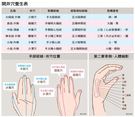 手指對應五臟|保養五臟六腑！手掌穴位一次搞定（附詳細圖解）